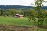 DSC00959.jpg