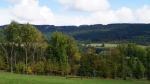 DSC01011.jpg