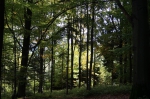 DSC01017.jpg