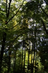 DSC01018.jpg