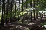 DSC01041.jpg