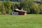DSC01052.jpg