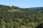 DSC01675.jpg