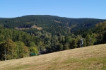 DSC01681.jpg