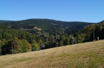 DSC01682.jpg