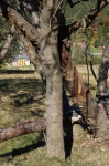 DSC01729.jpg
