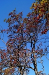 DSC01731.jpg