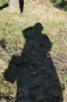 DSC01736.jpg