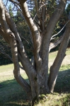 DSC01737.jpg