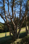 DSC01738.jpg