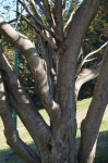 DSC01739.jpg