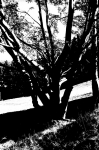 DSC01743.jpg