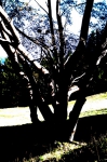 DSC01744.jpg