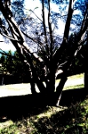 DSC01746.jpg