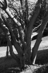 DSC01750.jpg