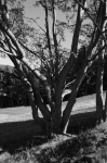 DSC01751.jpg