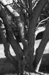 DSC01753.jpg