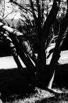 DSC01756.jpg
