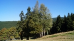 DSC01779.jpg
