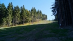 DSC01783.jpg