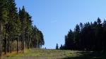 DSC01785.jpg