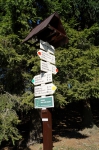 DSC01836.jpg