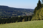 DSC01856.jpg