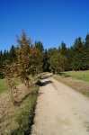 DSC01863.jpg