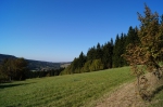 DSC01864.jpg