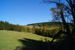 DSC01916.jpg