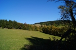 DSC01917.jpg