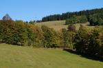 DSC01918.jpg