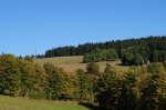DSC01919.jpg