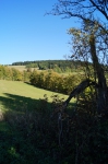 DSC01922.jpg