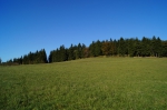 DSC01924.jpg
