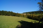 DSC01925.jpg