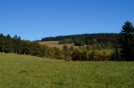 DSC01926.jpg