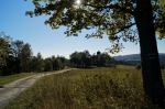 DSC01933.jpg