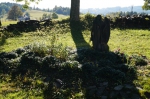 DSC01967.jpg