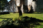 DSC01974.jpg