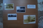 DSC02110.jpg