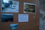 DSC02118.jpg
