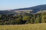 DSC02156.jpg