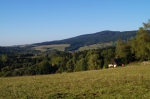 DSC02157.jpg