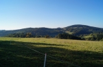 DSC02159.jpg