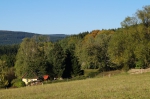 DSC02163.jpg