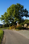 DSC02214.jpg