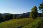 DSC02216.jpg