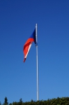 DSC02217.jpg