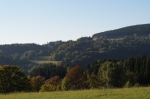 DSC02233.jpg